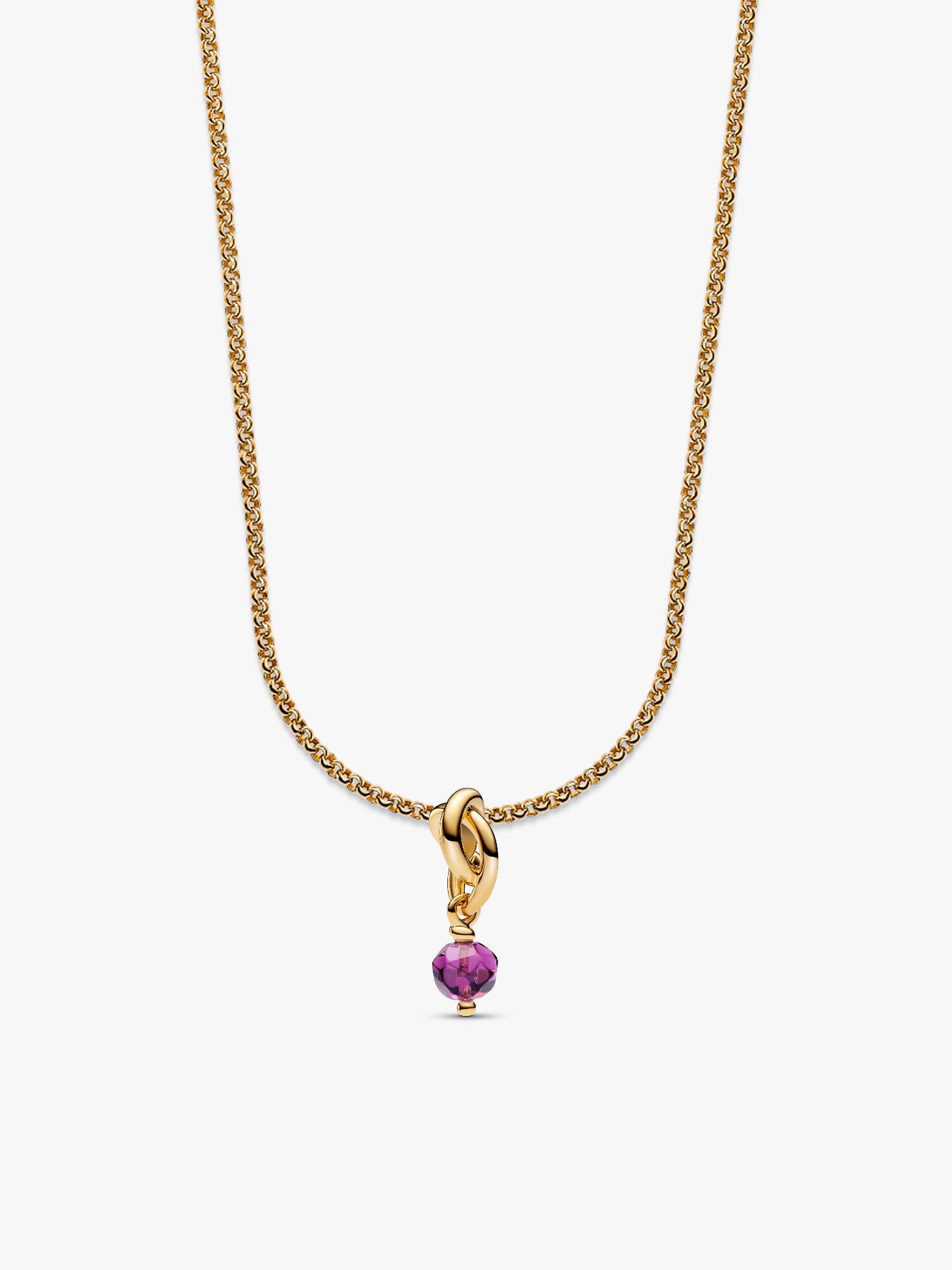 February Eternity Circle Dangle Charm Necklace Set