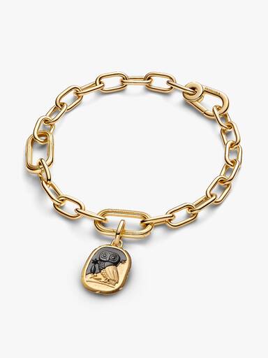 Owl Medallion Charm