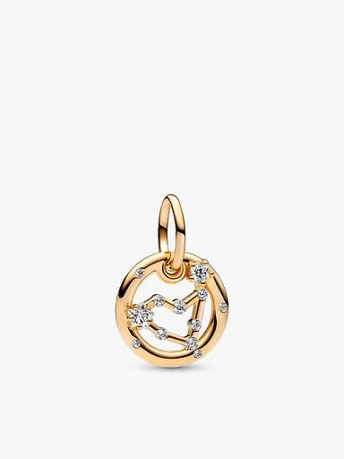 Capricorn Zodiac Dangle Charm Bracelet Set
