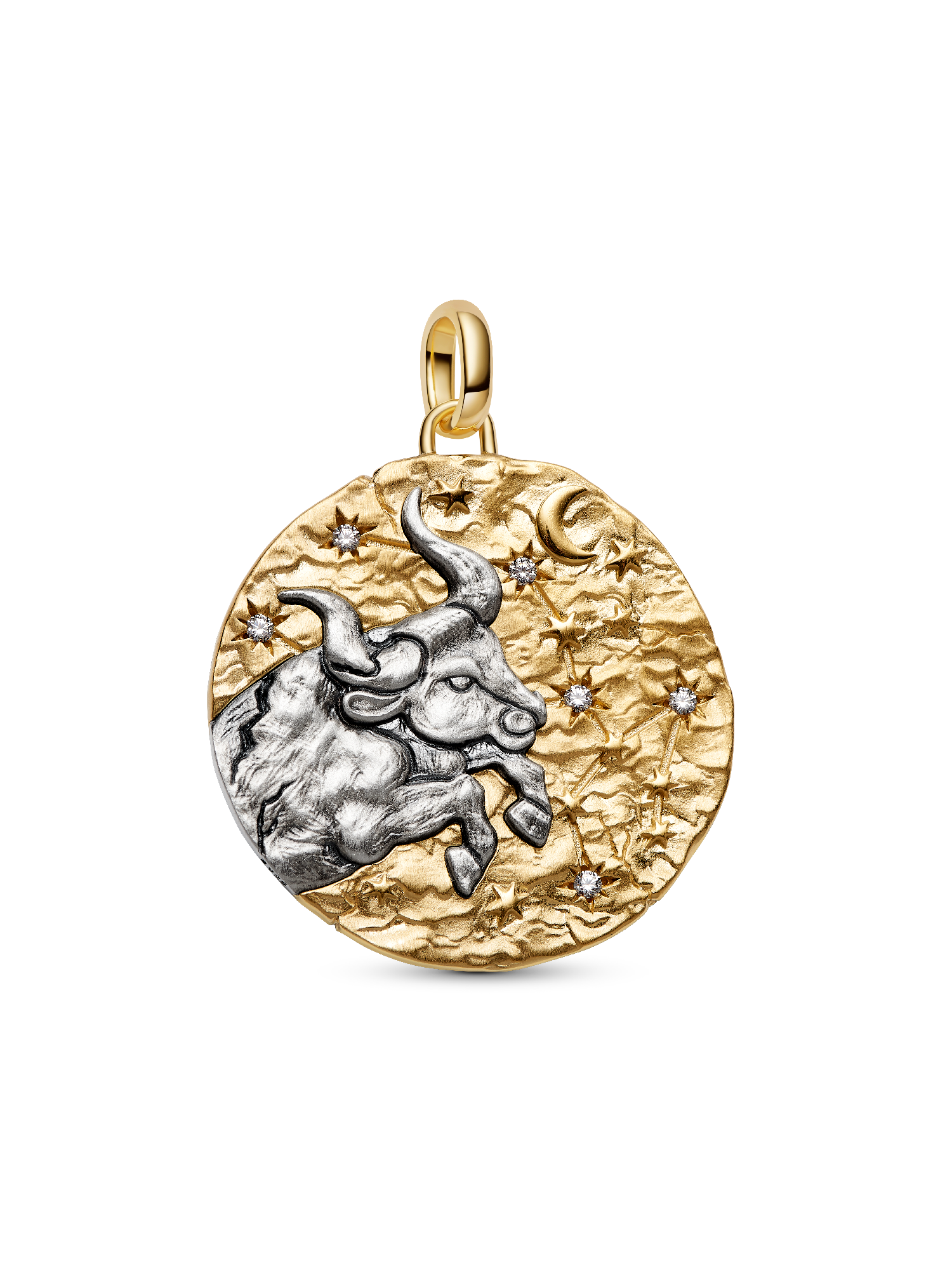 Taurus Zodiac Oversized Medallion Charm