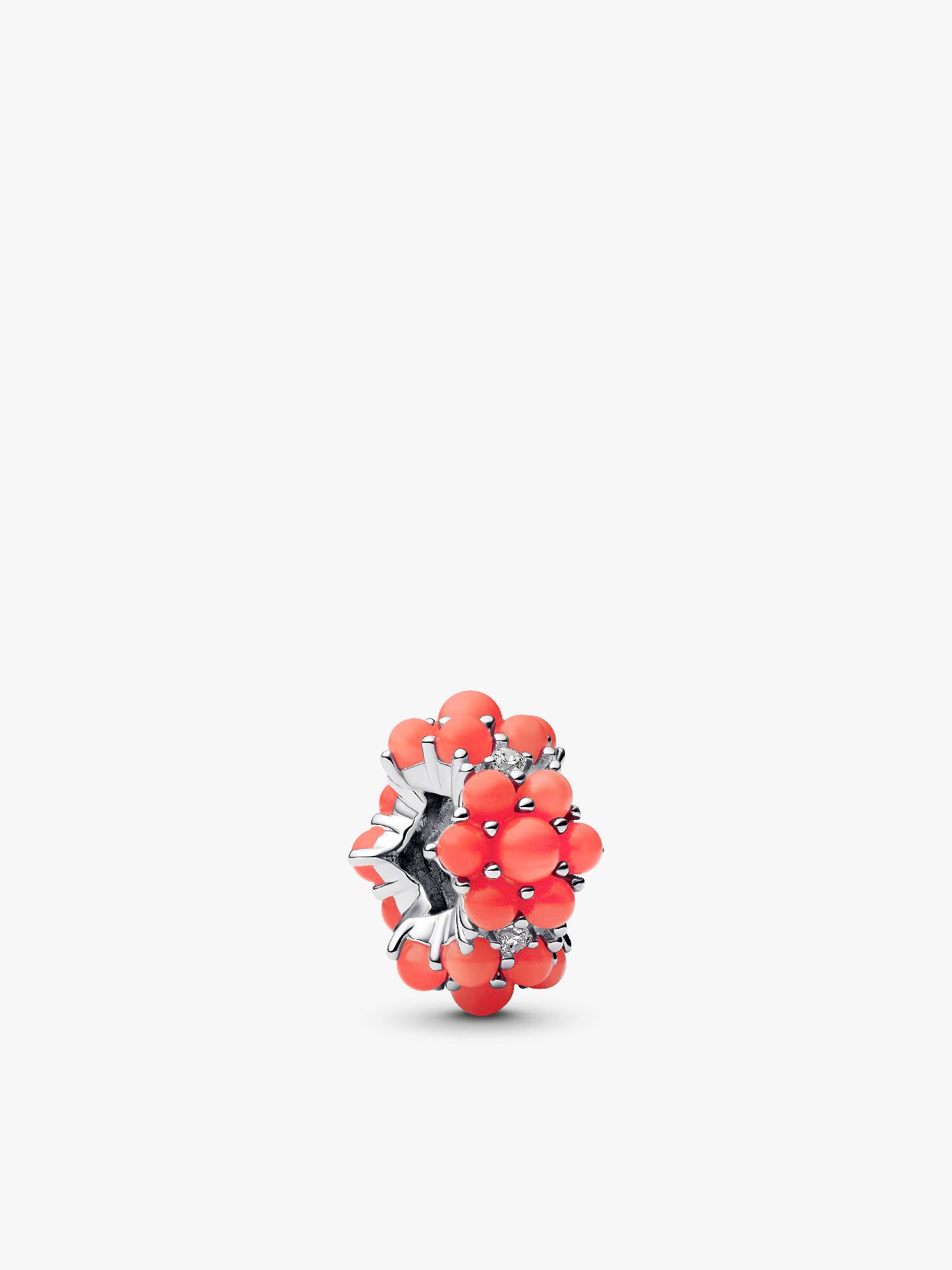 Coral-colored Ocean Charm