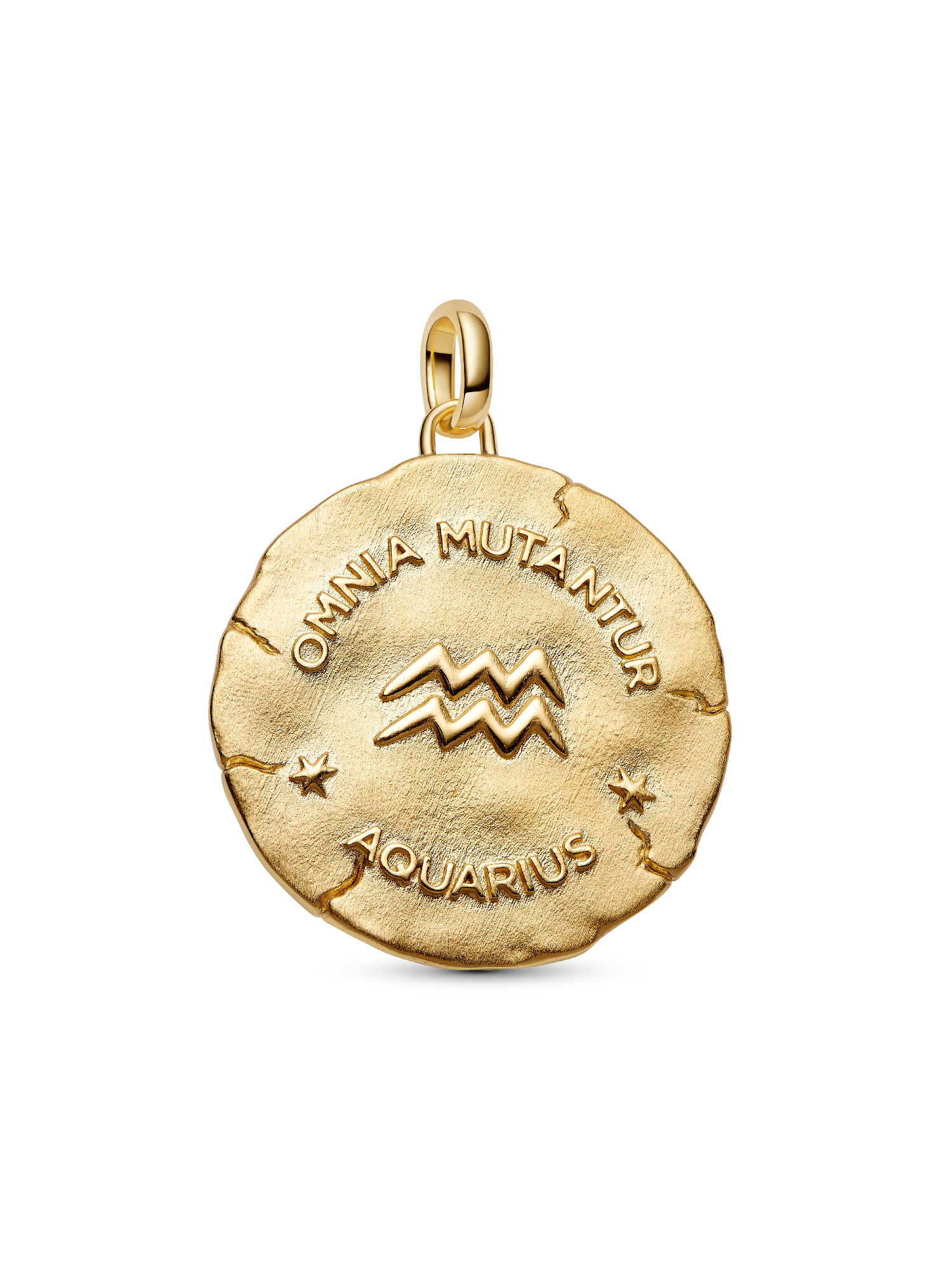 Aquarius Zodiac Oversized Medallion Charm