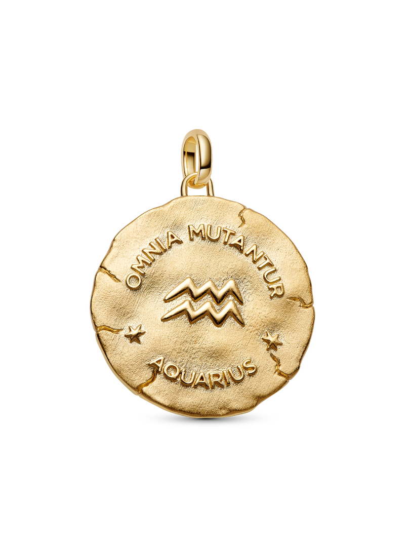 Aquarius Zodiac Oversized Medallion Charm