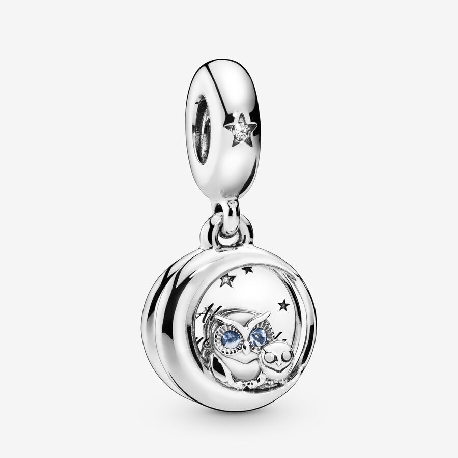 FINAL SALE - Always by Your Side Owl Dangle Charm image number 0