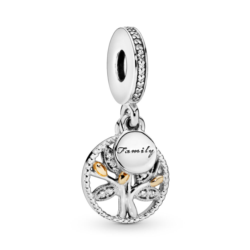 Family Heritage Dangle Charm with Cubic 