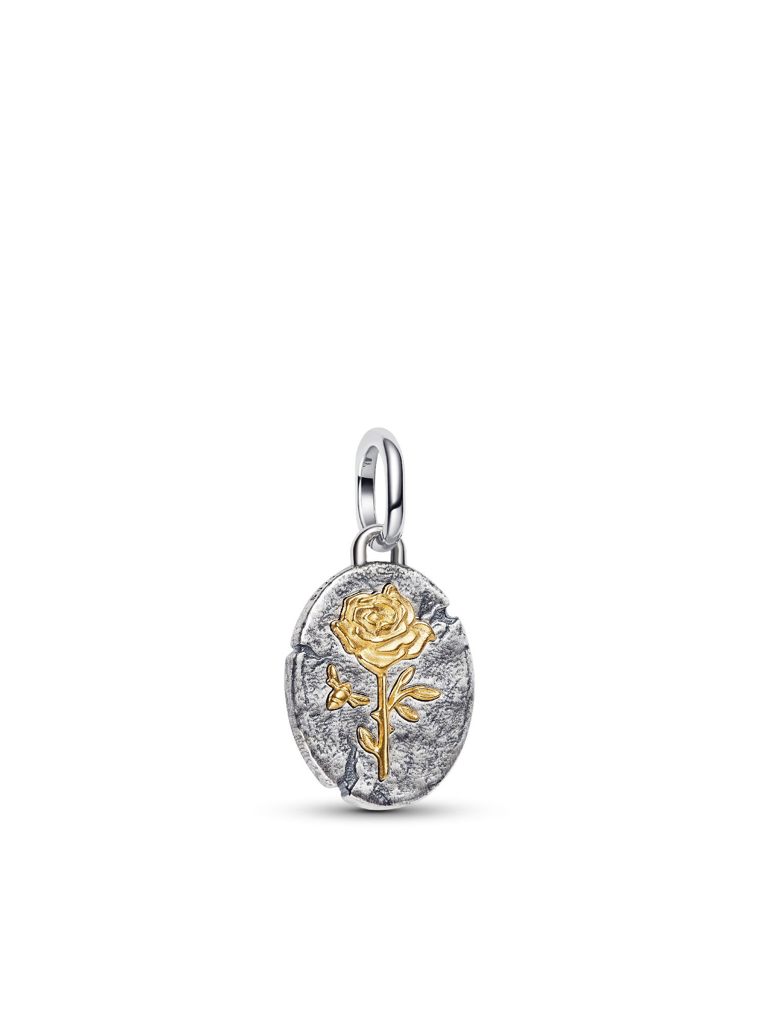 Rose Medallion Charm Necklace Set