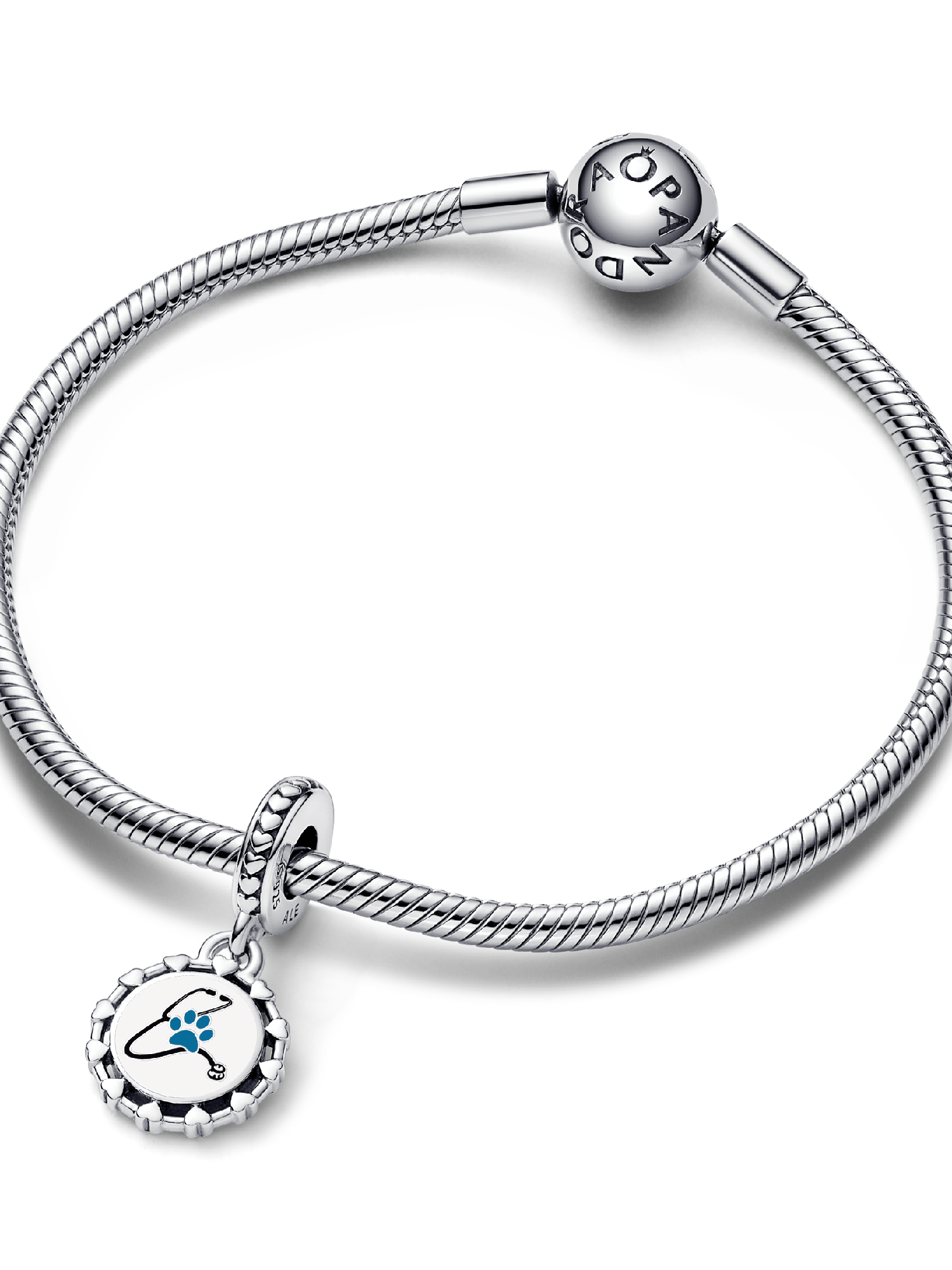 Veterinarian Dangle Charm