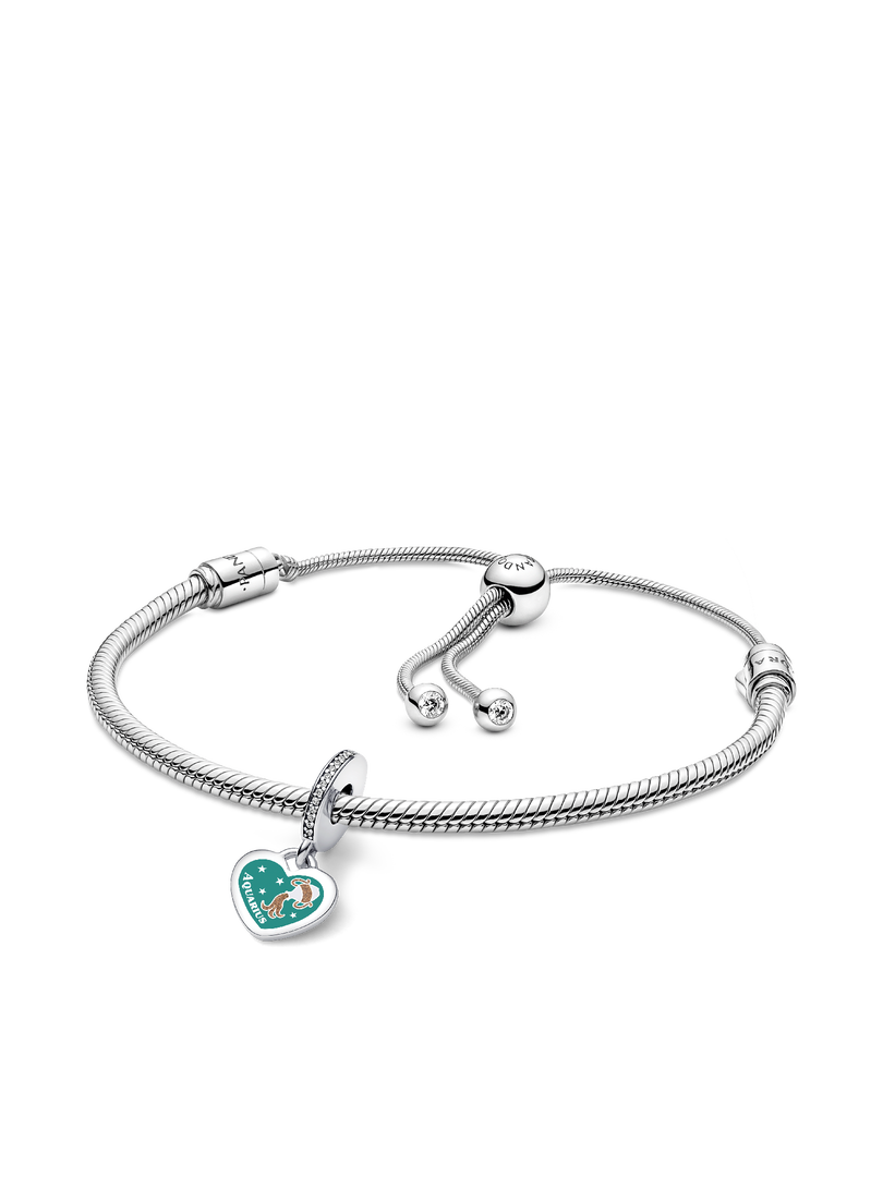 Aquarius Dangle Charm Bracelet Set