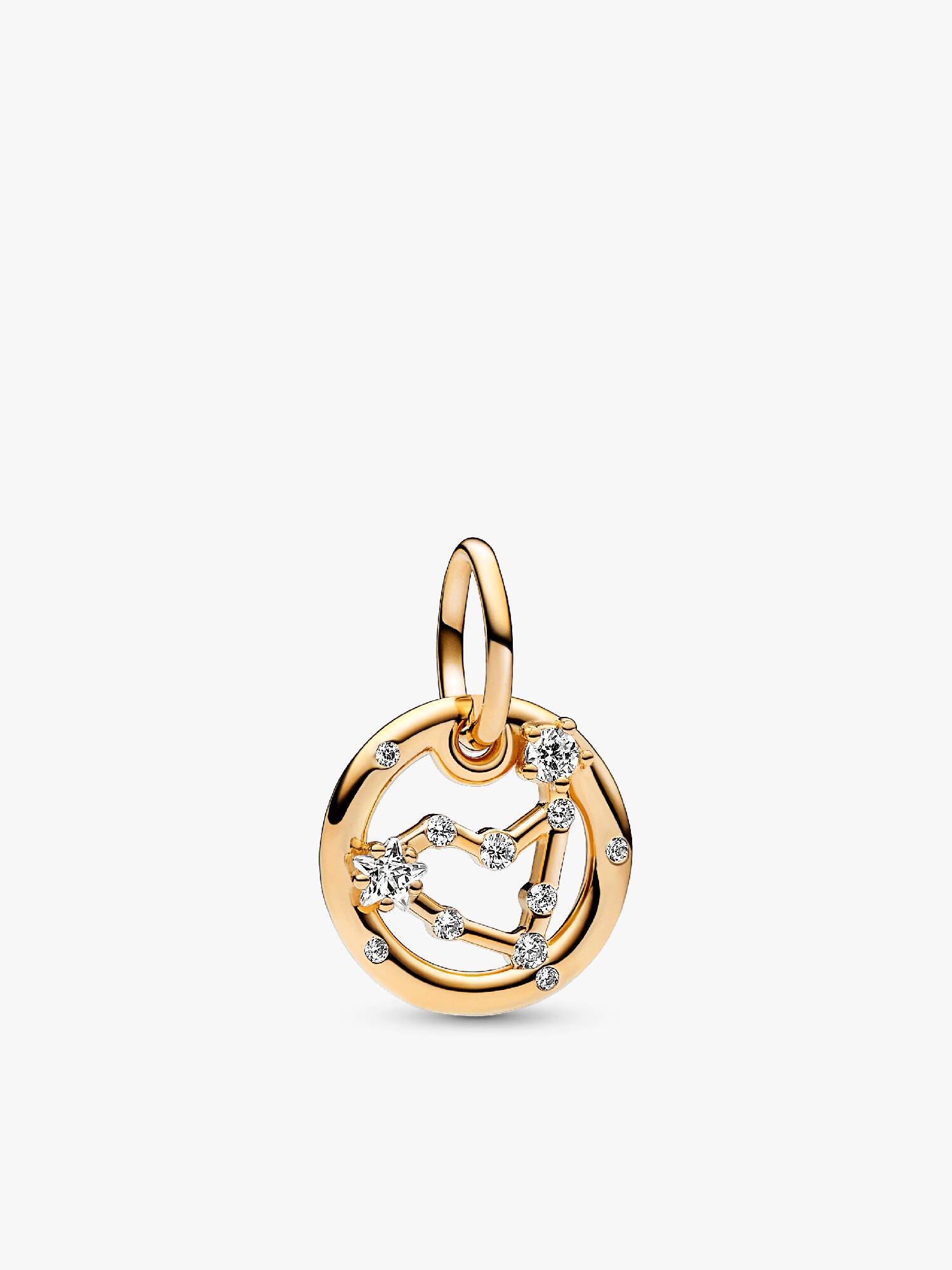 Capricorn Zodiac Dangle Charm