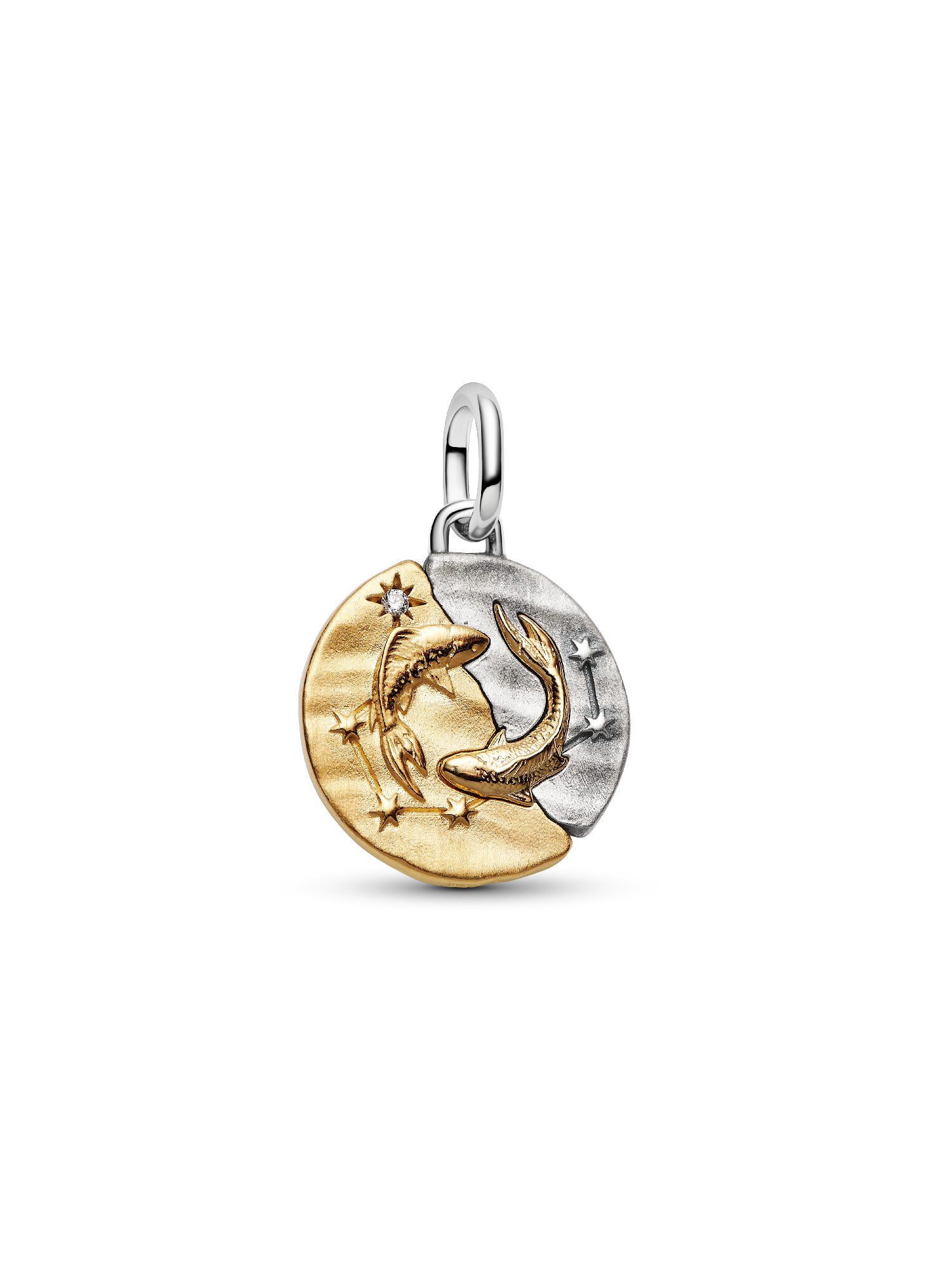 Pisces Zodiac Medallion Charm