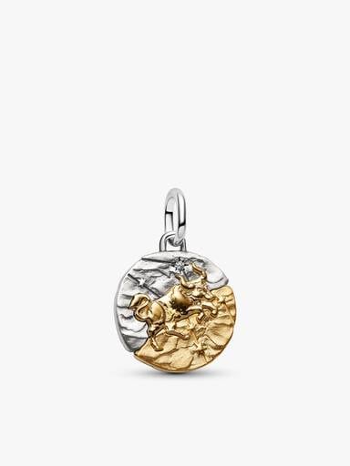 Taurus Medallion Charm Necklace Set