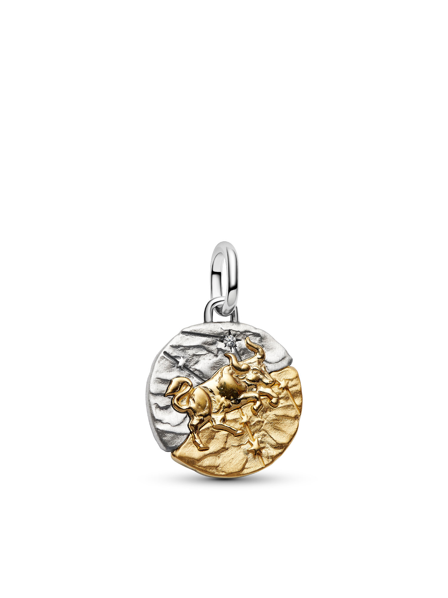 Taurus Medallion  Charm Necklace Set