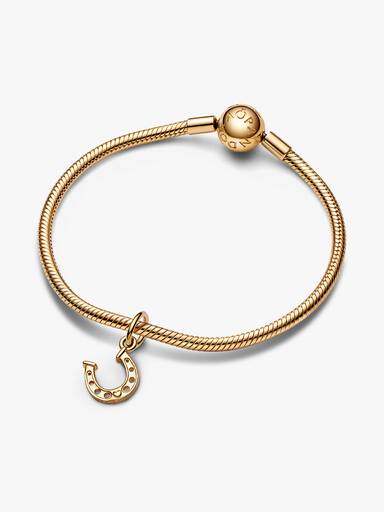 Lucky Horseshoe Dangle Charm