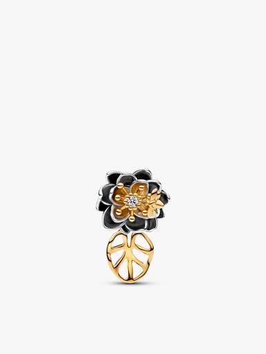 Elevated Tiana Charm Bracelet Set