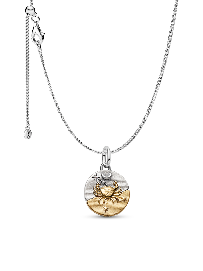 Cancer Medallion Charm Necklace Set