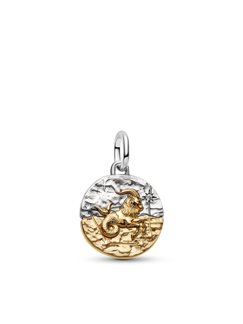 Женский шарм Pandora Capricorn Zodiac Medallion Charm, цвет: Двухцветный
