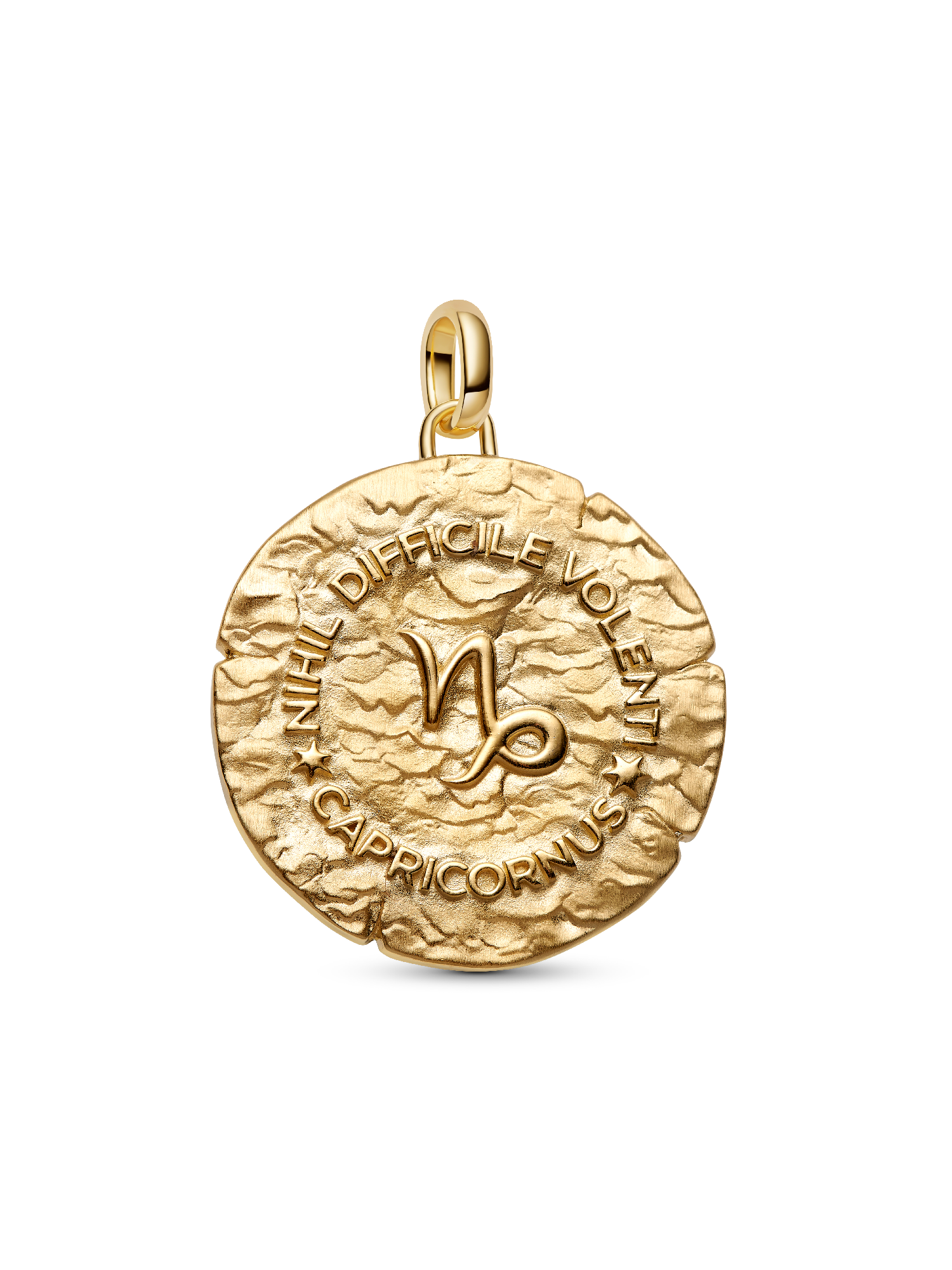 Capricorn Zodiac Oversized Medallion Charm