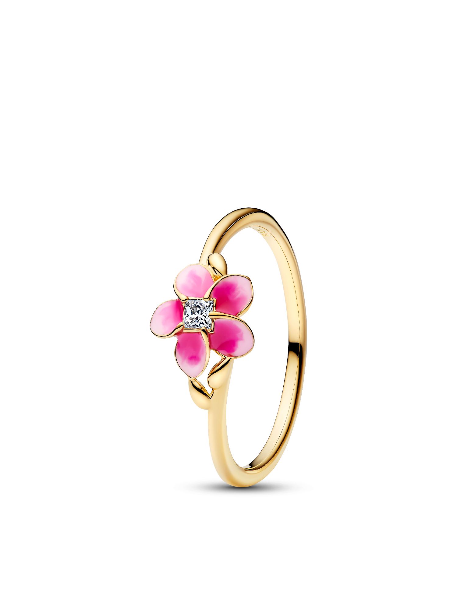 Where You Are, Island and Sea Moana Ring Set