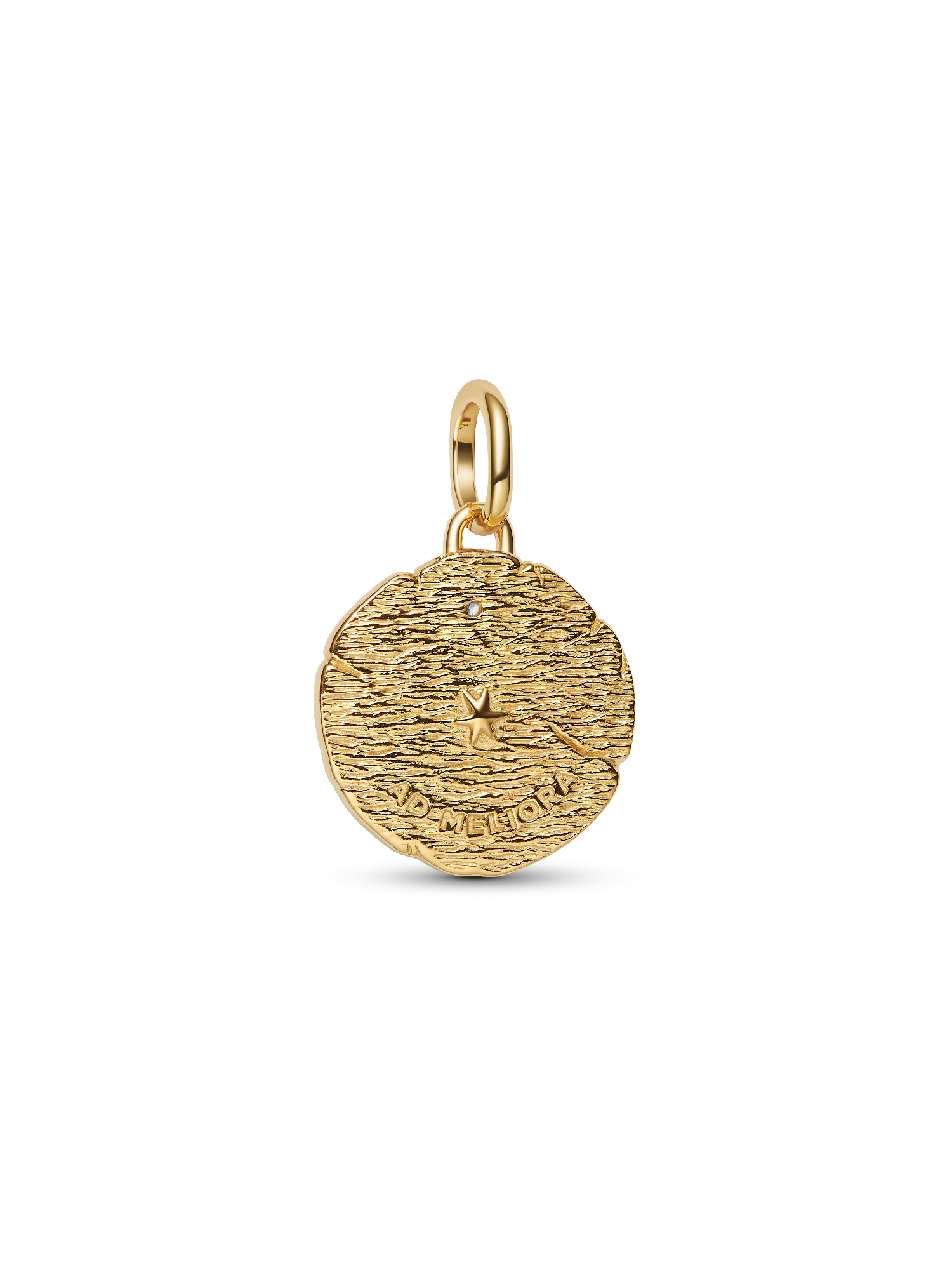 Crossing Arrows Medallion Charm