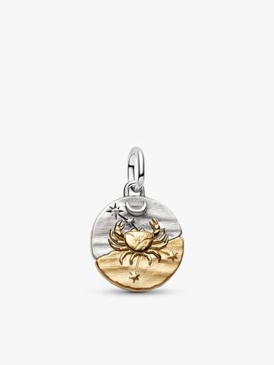Cancer Medallion Charm Necklace Set