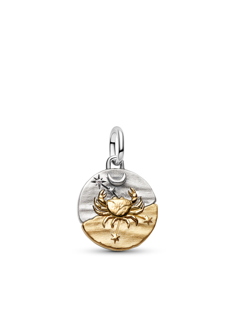 Cancer Medallion Charm Necklace Set