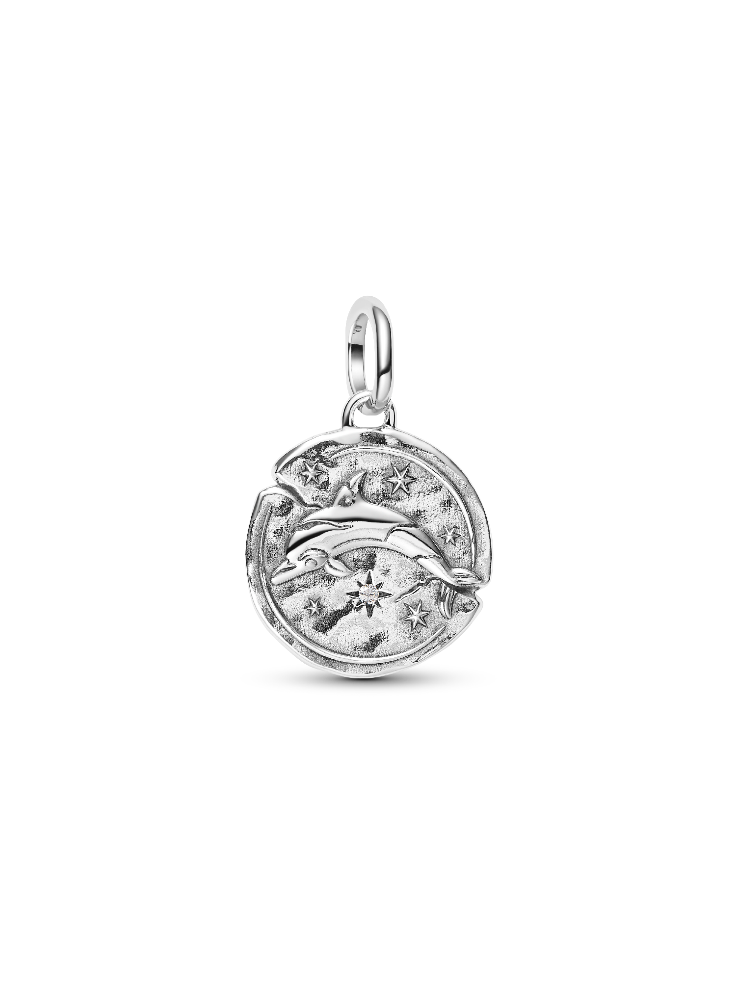 Dolphin Medallion Charm