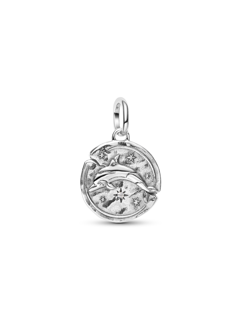 Dolphin Medallion Charm