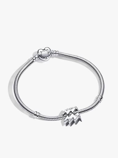 Aquarius Zodiac Charm Bracelet Set