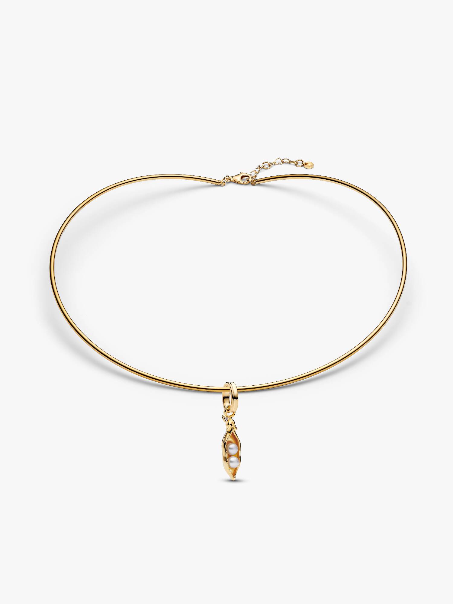 Two Peas in a Pod Charm Necklace set