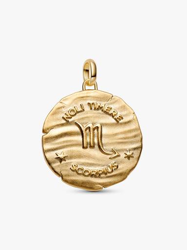 Scorpio Zodiac Oversized Medallion Charm