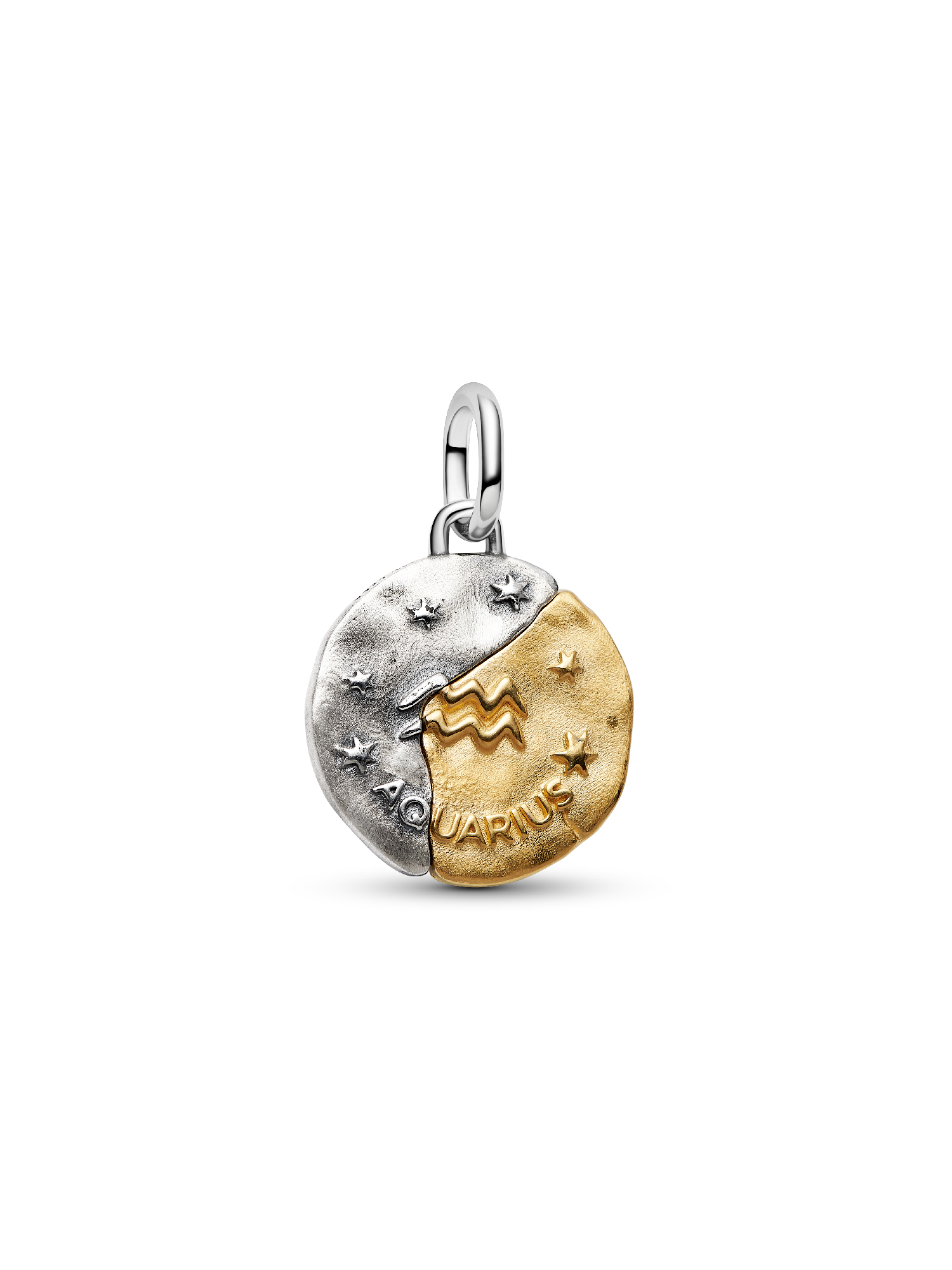 Aquarius Zodiac Medallion Charm