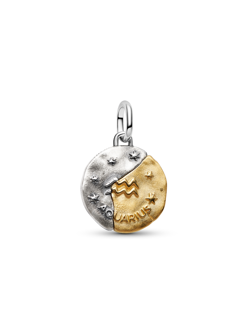 Aquarius Zodiac Medallion Charm