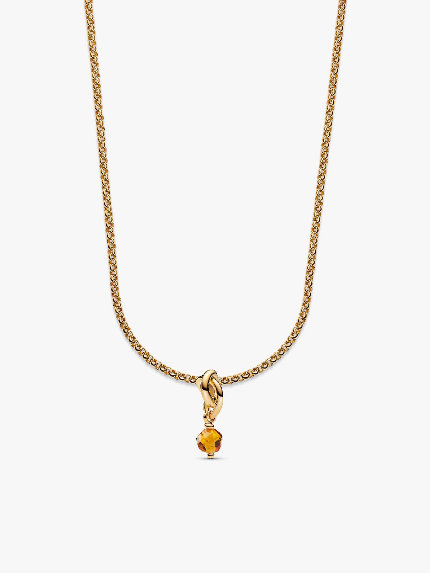 November Eternity Circle Dangle Charm Necklace Set