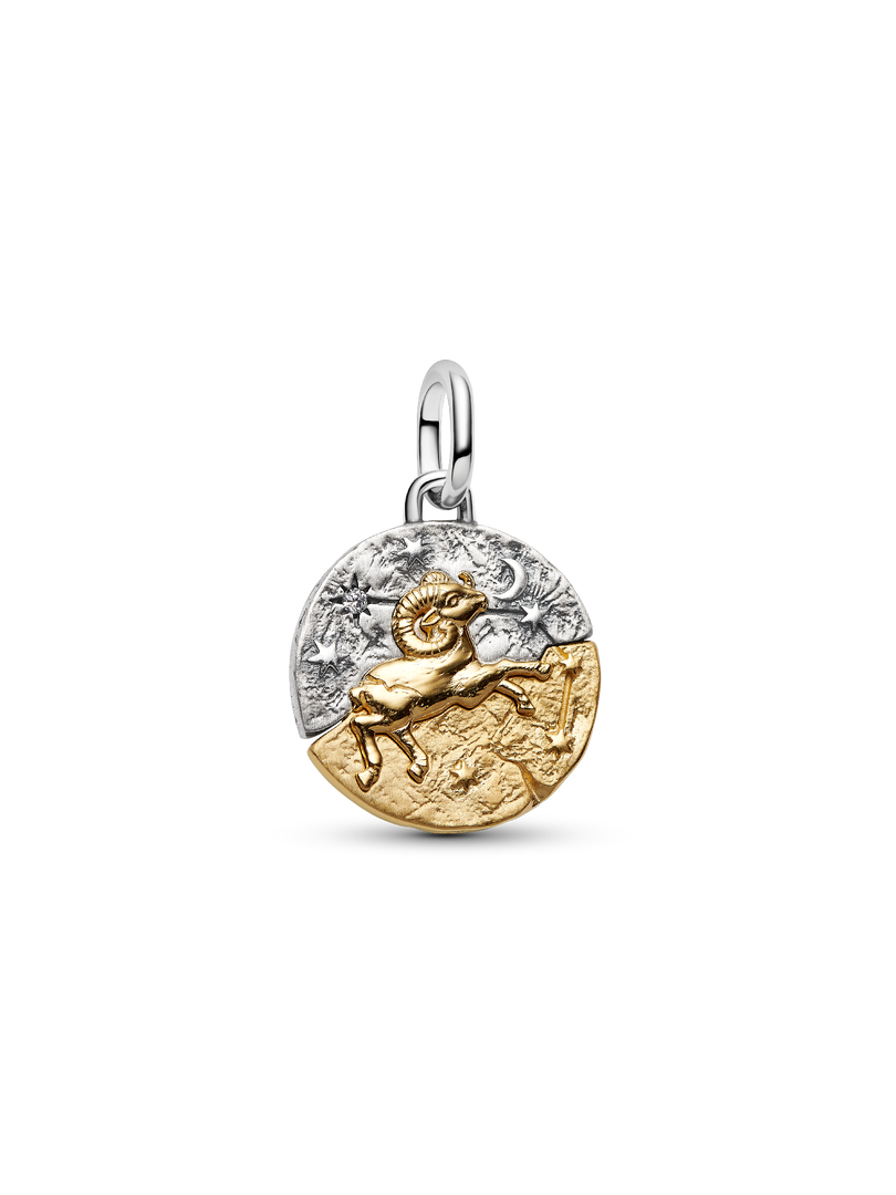 Aries Zodiac Medallion Charm
