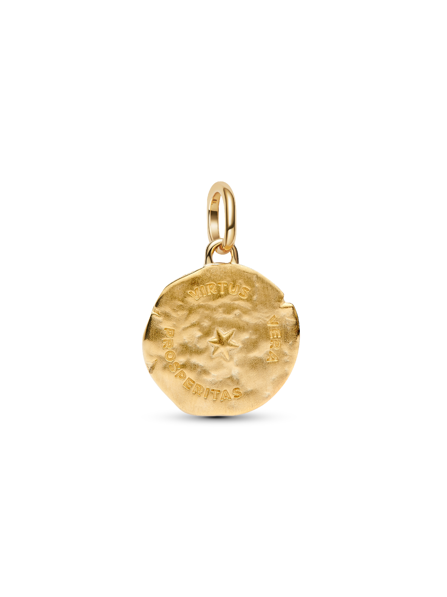 Wheat Medallion Charm