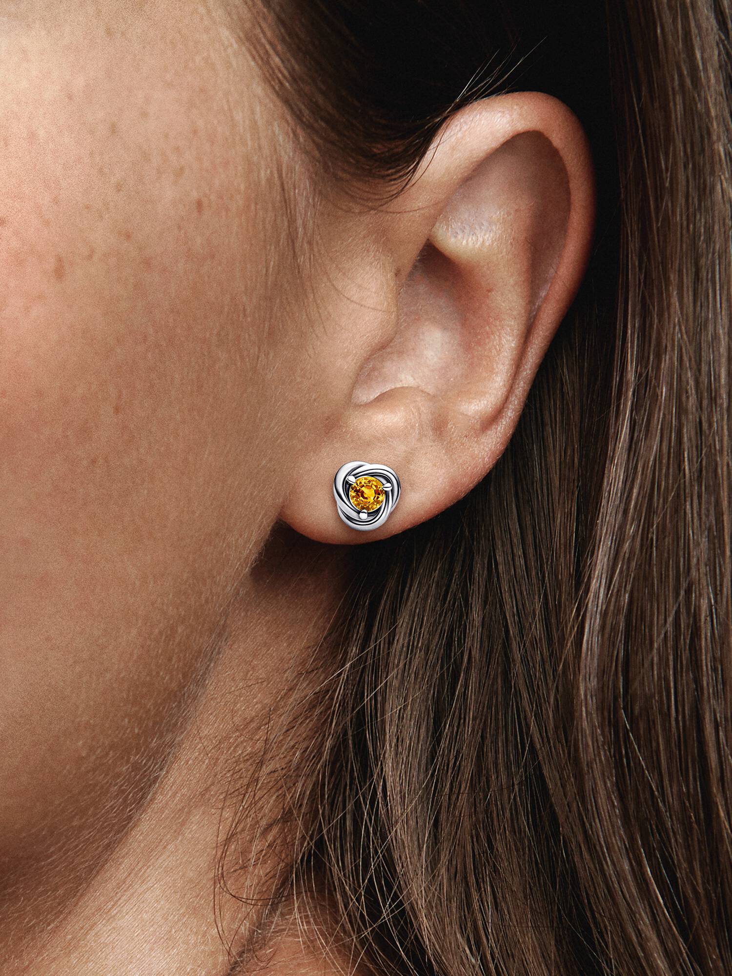 November Honey Eternity Circle Stud Earrings
