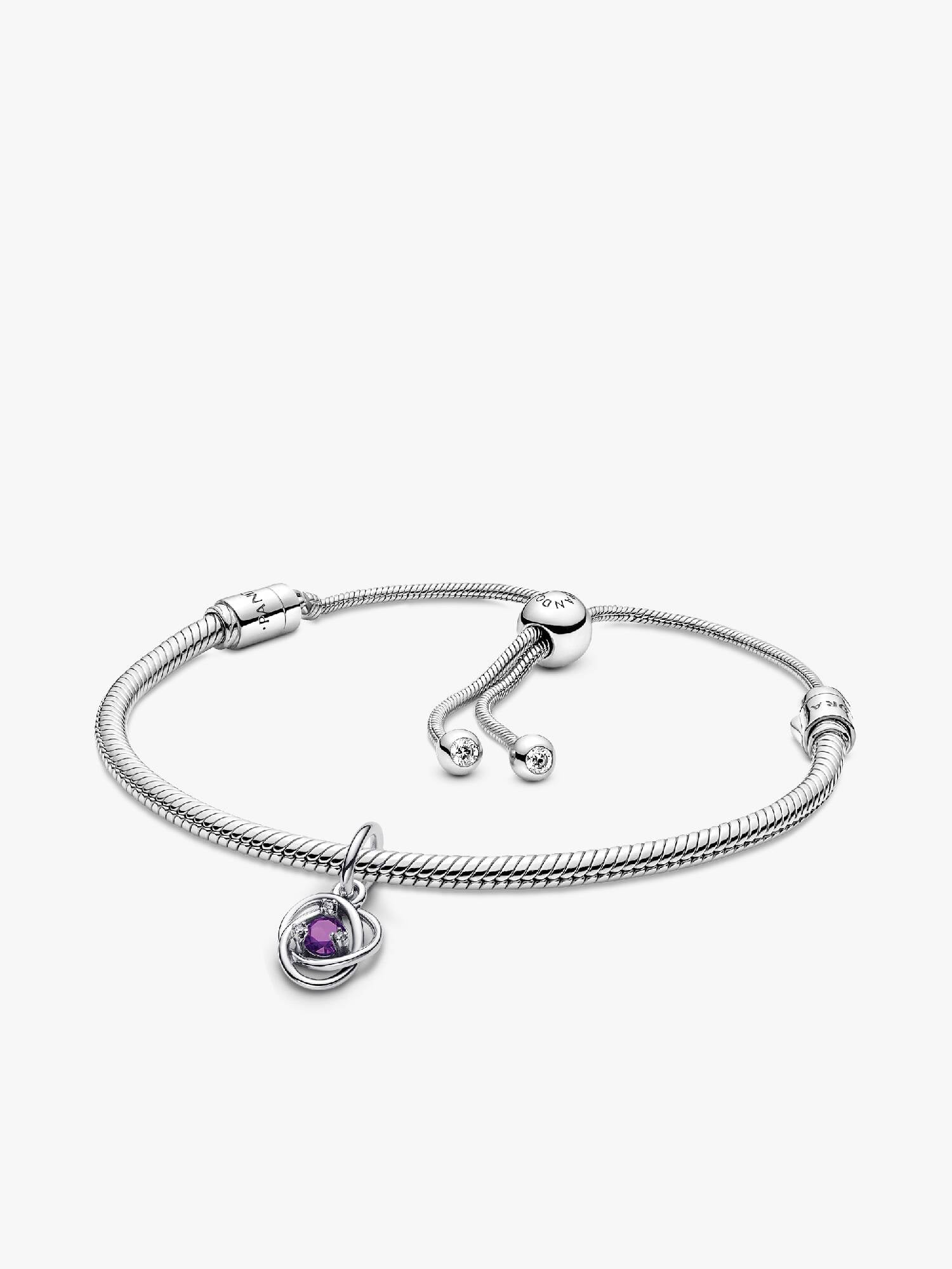 February Eternity Circle Dangle Charm Bracelet Set