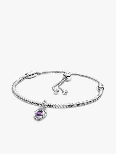 February Eternity Circle Dangle Charm Bracelet Set