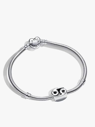 Cancer Zodiac Charm Bracelet Set
