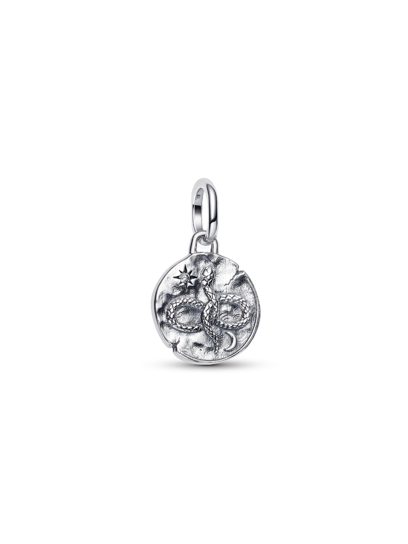 Infinity Snake Medallion Charm