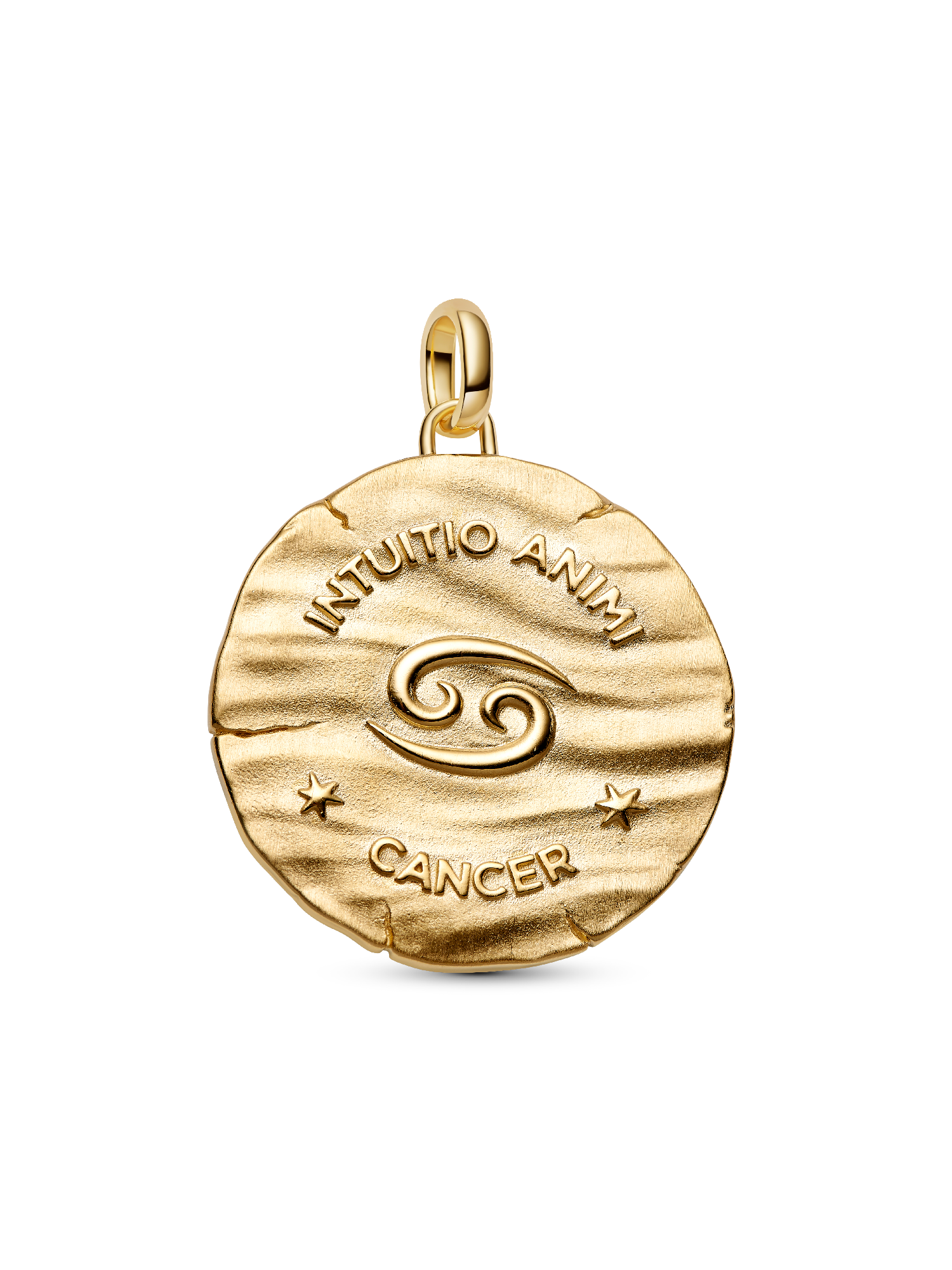 Cancer Zodiac Oversized Medallion Charm
