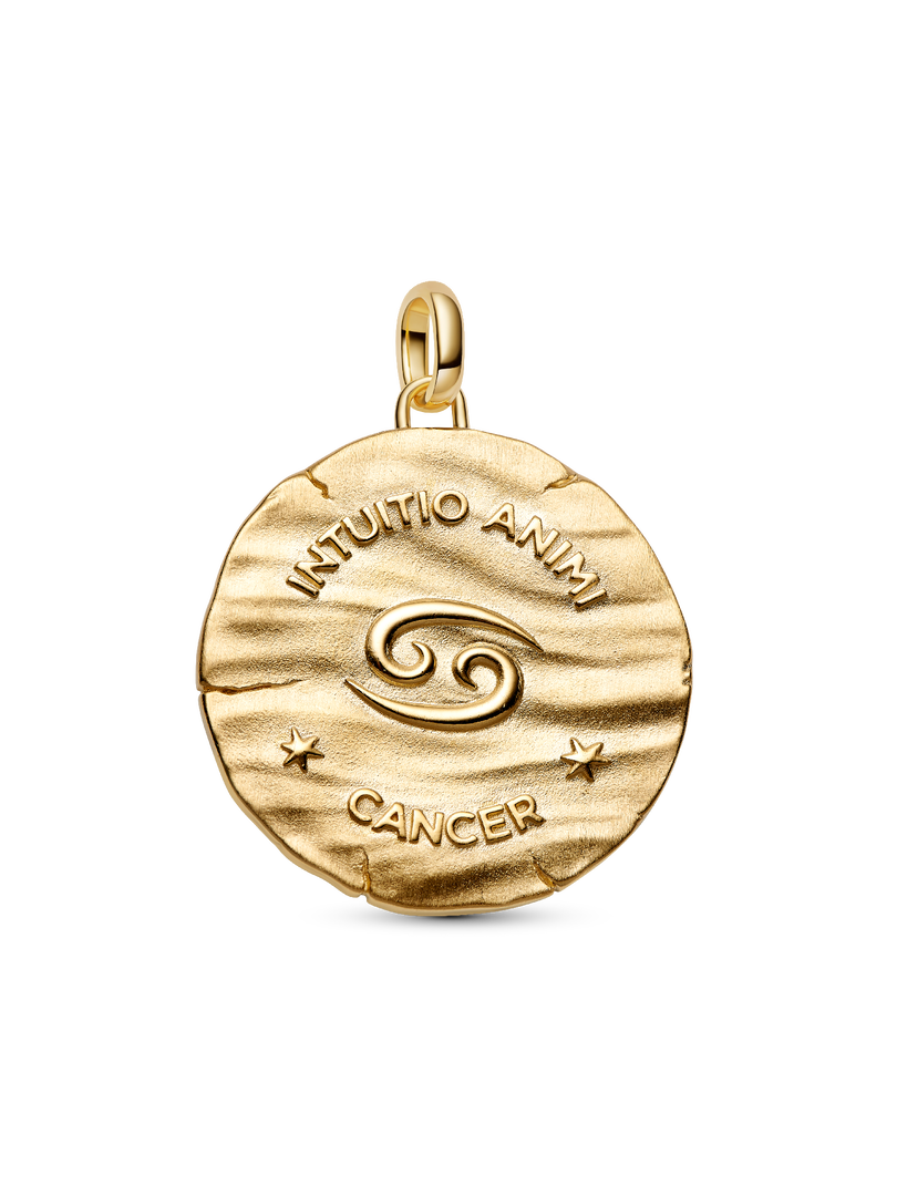 Cancer Zodiac Oversized Medallion Charm