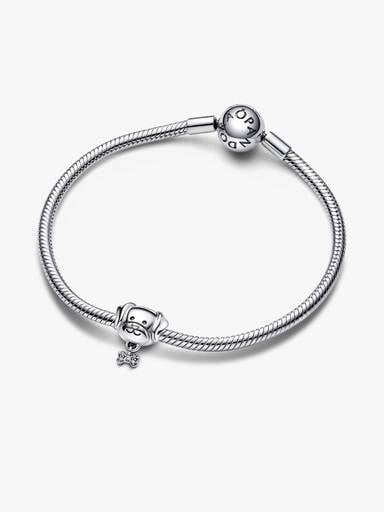 Pet Dog & Bone Charm