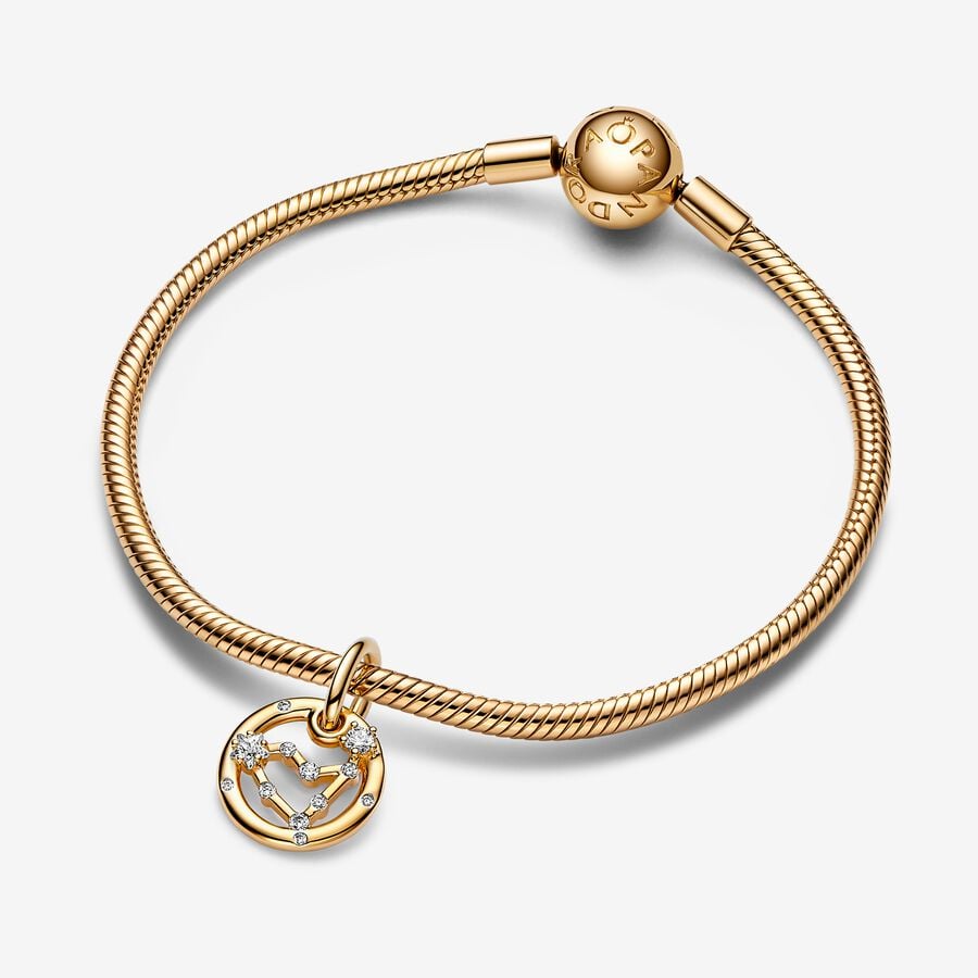 Capricorn Zodiac Dangle Charm Bracelet Set image number 0