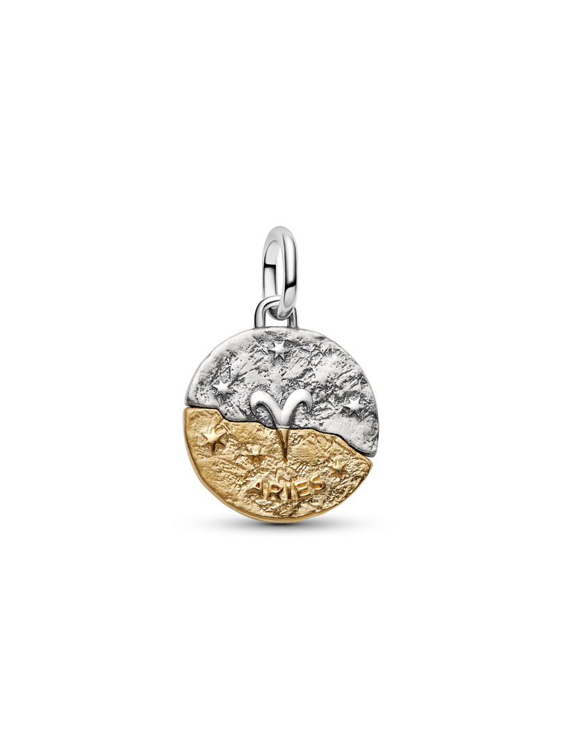 Aries Zodiac Medallion Charm