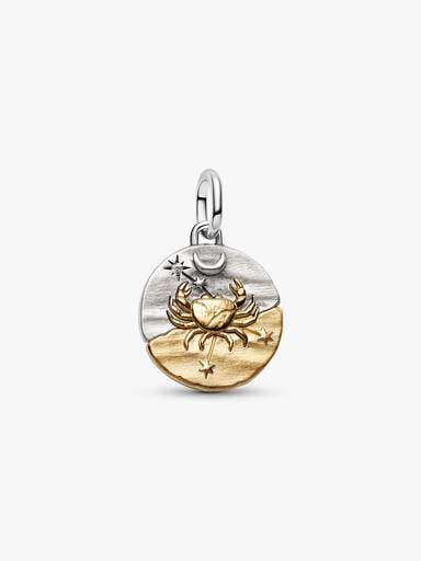 Cancer Zodiac Medallion Charm