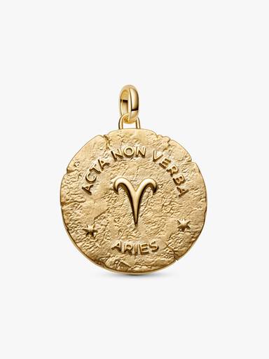 Aries Zodiac Oversized Medallion Charm