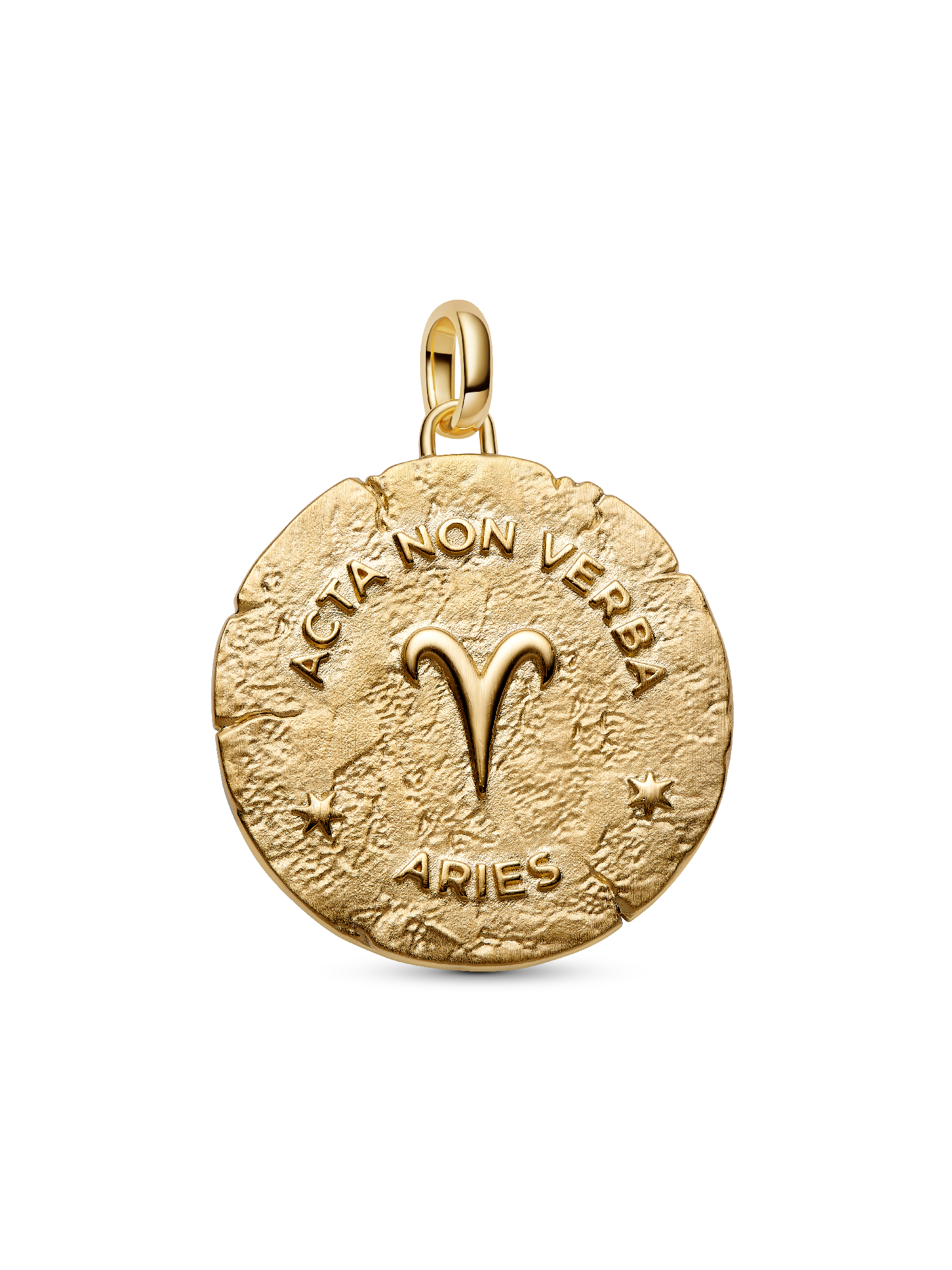 Aries Zodiac Oversized Medallion Charm