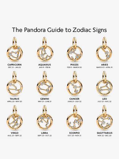 Capricorn Zodiac Dangle Charm