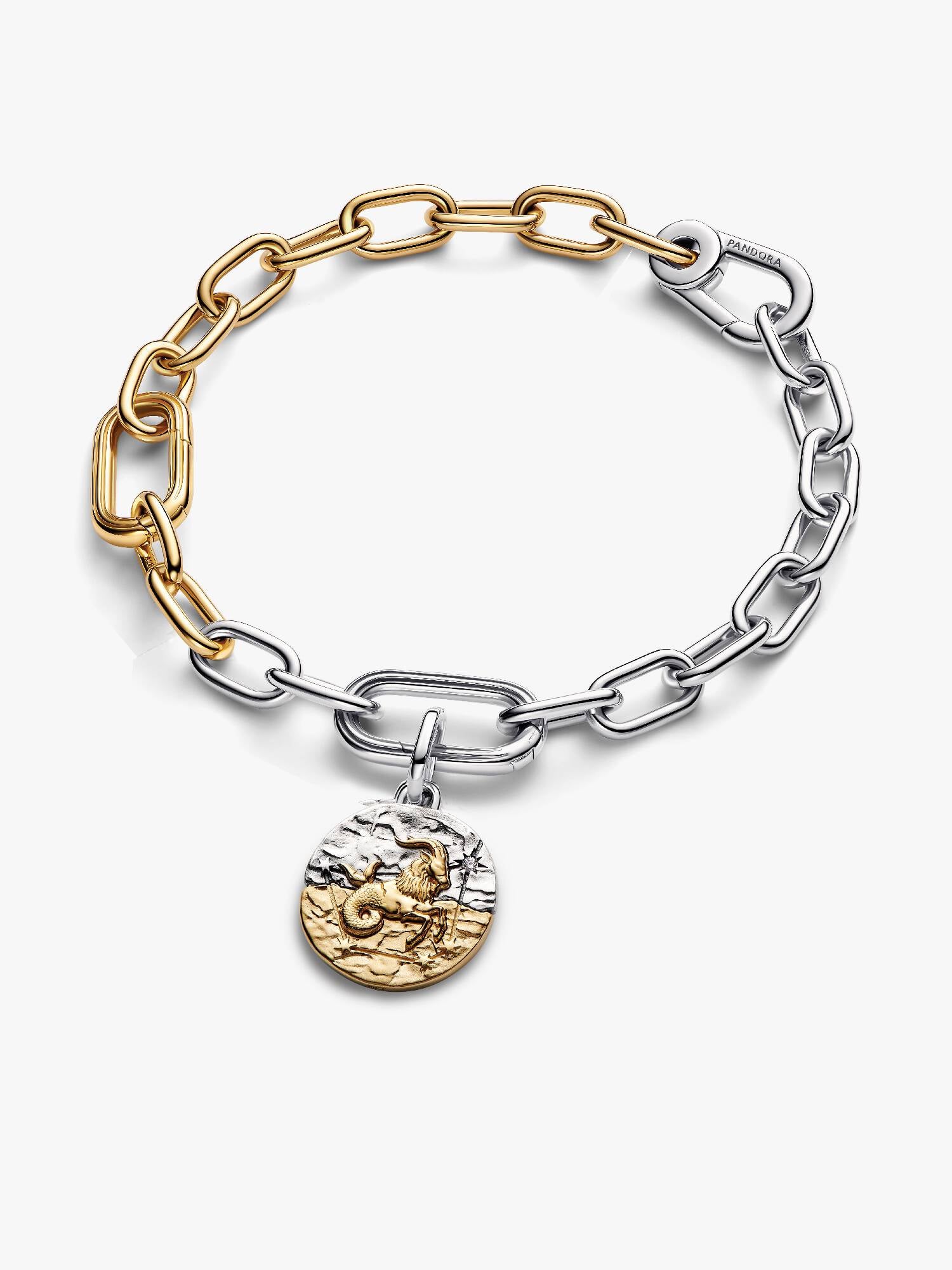 Capricorn Medallion Charm Bracelet Set